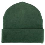 Attack on Titan - Scout Regiment Crest Beanie Hat (Green) - Bioworld - Image 2
