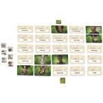 Codegames Duet Card Game - Czech Games Edition - Image 2