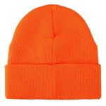 Dragon Ball Z - Goku & Turtle Hermit Kanji Symbols Cuff Beanie Hat (2-Pack) - Bioworld - Image 6