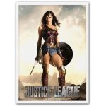 Dragon Shield [Justice League] - Wonder Woman Art Protective Card Sleeves (Matte, 100 Count, Standard Size) - Image 2