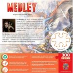 Dragon's Horde Jigsaw Puzzle with Bonus Poster (300 Pieces) - MasterPieces - Medley EZ Grip Series - Image 3