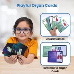Germ Buster - Human Body STEM Toy Game Building Set - Smartivity - Image 6