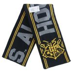 Harry Potter - Hogwarts Crest Beanie Hat and Scarf Winter Set - Bioworld - Image 3