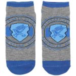 Harry Potter - Ravenclaw Socks Set (5 Pack) - Bioworld - Image 11
