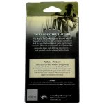 Magic: The Gathering [Magic 2013 | M13] - Path to Victory Intro Pack (Theme Deck) - Image 2