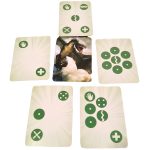 Maximum Throwdown Card Game - Alderac Entertainment - Image 4