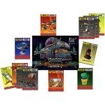 RV Glamper! - Competitive Pirates Card Game for Family, Adults, and Children (2-4 Players, Age 10+) - DPH Games - Image 4