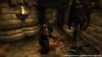 The Elder Scrolls IV: Oblivion (Game of the Year Edition) - Xbox 360 - Image 5